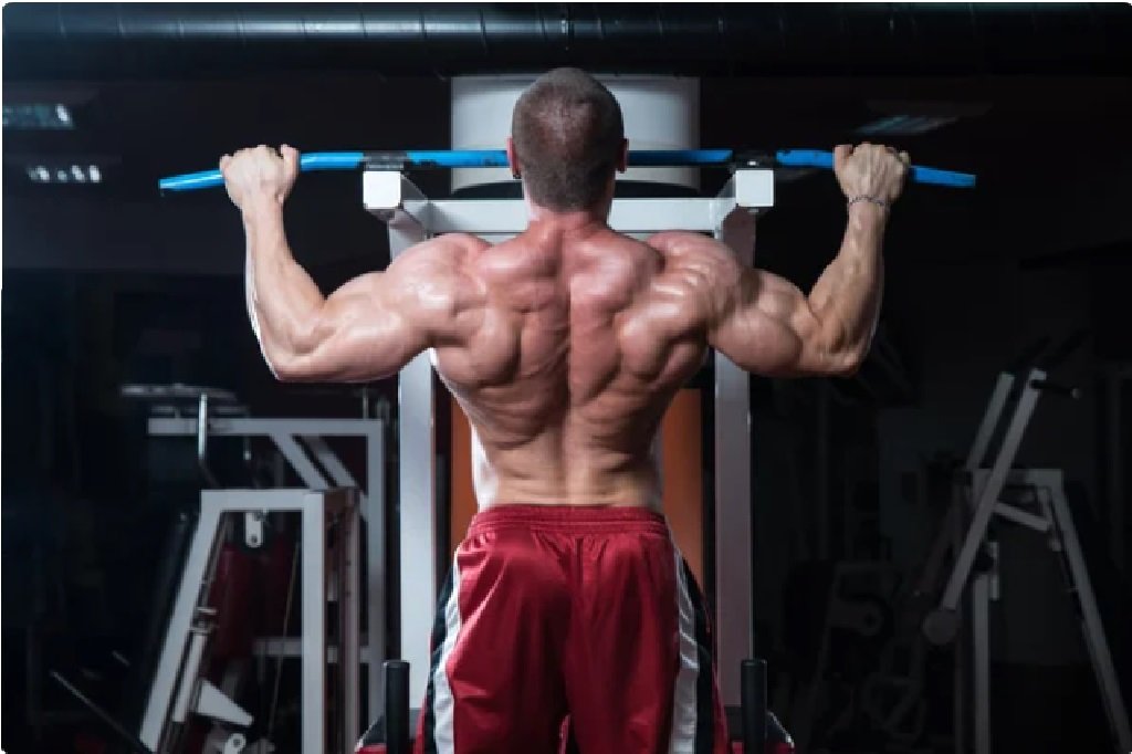 maquina espalda gym ejercicios en casa