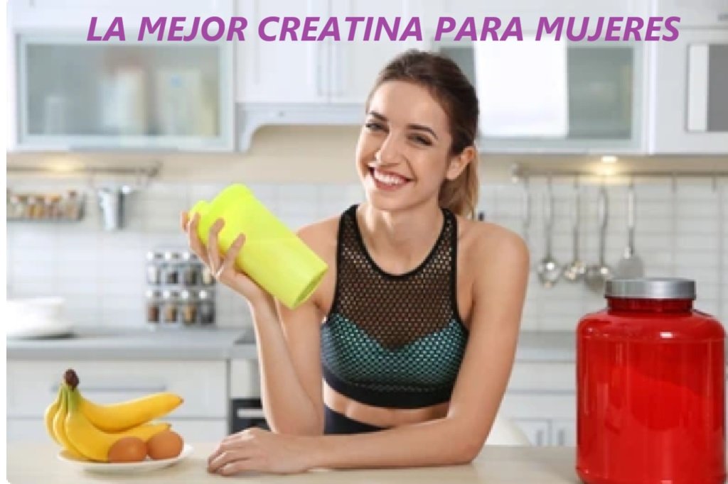 Cual es la Mejor Creatina para Mujeres