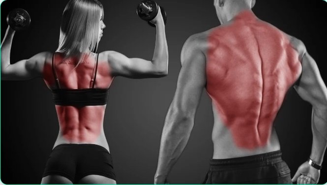Máquina para Espalda Gym: Guía Completa para Elegir la Mejor