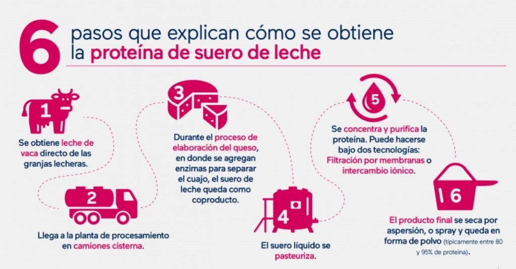 Como se obtiene la Proteína en Polvo